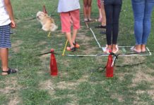 Flo Rida à la Baie de Beauport, 20.07.2019