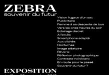 ZEBRA souvenir du futur : exposition du 12 au 22 septembre à la Next Door Gallery de Genève