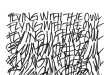 THE BEAUTY OF GEMINA – Flying with the Owl