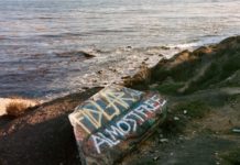 FIDLAR – Almost Free