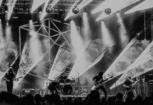 Irreversible 2019 : l’année du changement