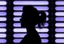 SANDOR – Synthesthétique