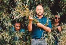 Cannibale et Fomies en concert au Bleu Lézard de Lausanne !