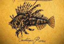 VELVETFISH – Cocotropus Roseus