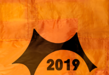 Roskilde Festival 2019 : Le Daily Rock bientôt au pays des vikings!