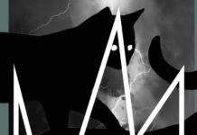 Nouvelle édition du Lokos Festival au Chat Noir !