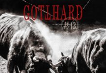 Gotthard – #13