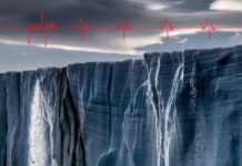 Pearl Jam – Gitaton