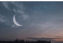 INSOMNIUM – Argent Moon