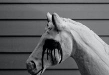 MATTHEW KIICHI HEAFY – Le meneur de Trivium a enfin sorti le premier single d’Ibaraki !