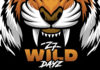Z7 Wild Dayz – Du 17 au 19 juin à Pratteln