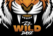 Z7 Wild Dayz – Du 17 au 19 juin à Pratteln