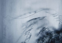 Emilie Zoé – Hello Future Me / The Companion EP