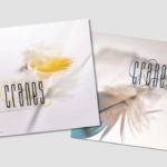 Cranes - John Peel Sessions