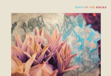 The Yelins – Moon on the Rocks (Le Cèpe Records/Irascible)