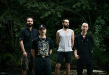 DR HAZE & THE WISE LIZARDZ