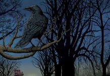 LES COWBOYS FRINGANTS – PUB ROYAL (LA TRIBU)