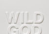 Nick Cave & The Bad Seeds – Wild God Nick Cave & The Bad Seeds - Wild God - Album cover