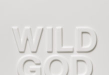 Nick Cave & The Bad Seeds – Wild God Nick Cave & The Bad Seeds - Wild God - Album cover