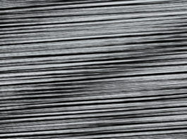 Nouvel album de Unfold "Feral Future" sorti via Humus Records