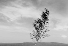 Rodolphe Burger – Avalanche Nouvel album de Rodolphe Burger, Avalanche, publié en 2024