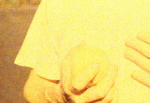 Stuffed Foxes – Standardized Pochette album Standardized de Stuffed Foxes