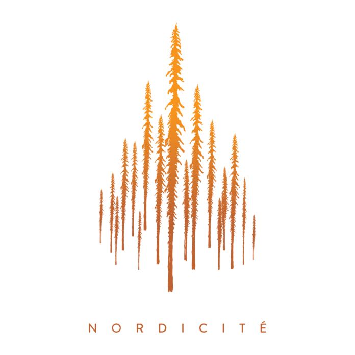 sébastien-leblanc-nordicité-pochette