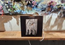 ENTREVUE AVEC P. SALLAFRANQUE : CULTIVER LE JARDIN DES PAUVRES UN VINYLE À LA FOIS