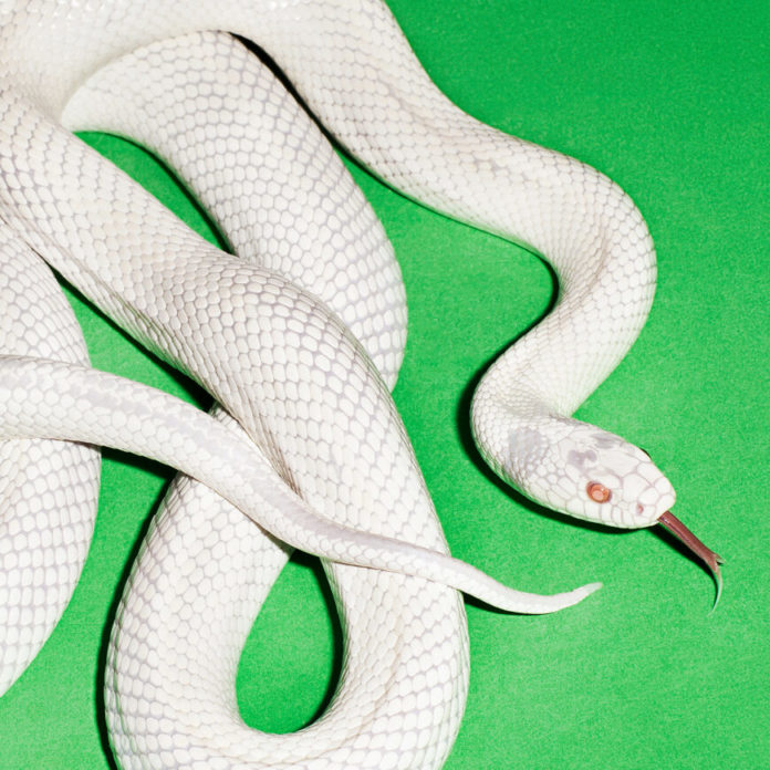 CD Deftones - 2025 - Private Music