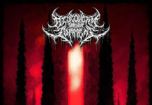 DISCOVERY THROUGH TORMENT DÉVOILE LEUR NOUVEAU SINGLE LESIONS