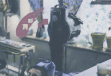 POL – LES CURIOSITÉS DU CABINET (CECI N’EST PAS UN ALBUM) (DISQUES DURE VIE)