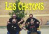 LES CHATONS — MIAOU MÉTAL (INDÉPENDANT)